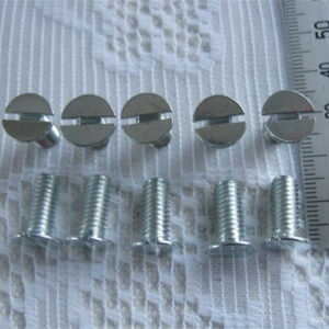 FLAT HEAD 6mm dia SCREWS X 10